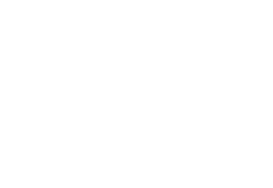 IWV Insurance Agency - Logo 800 White